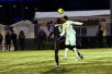 ii_honkainter2013
