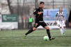 TPS - Honka