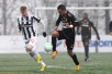 TPS - Honka