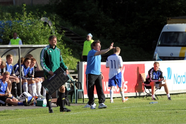 t_laurikainenmika2011f