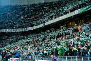 getty_hammarbyfanit