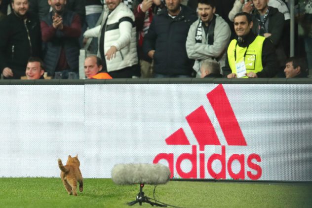 getty_besiktaskisu20180314