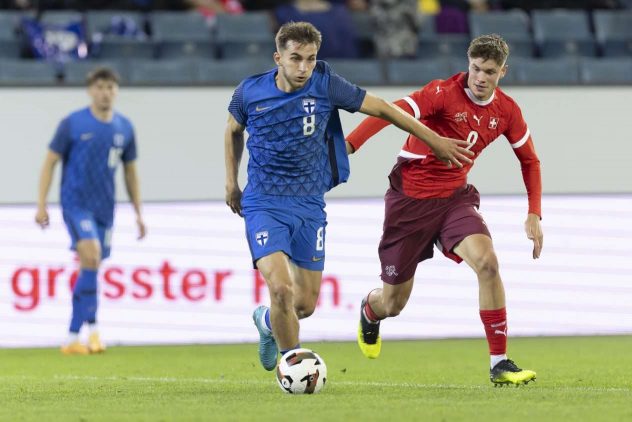 aop_pikkuhuuhkajat20241011