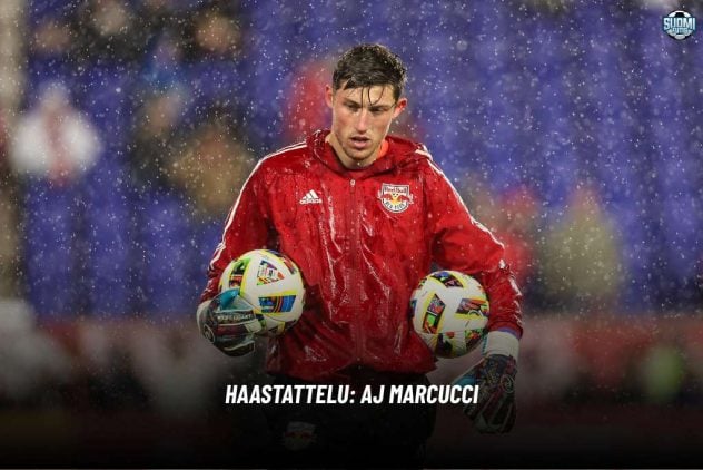 Kopio mallista artikkelikuva (5)