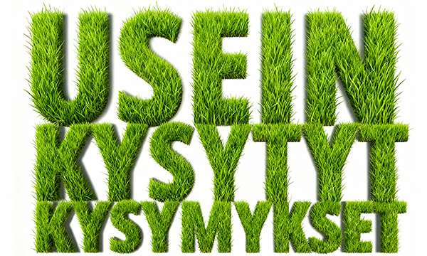 Vihreälle nurmelle muotoiltu teksti “Usein kysytyt kysymykset” – jalkapalloteemainen visuaali tukemassa kasinosivun UKK-osuutta.