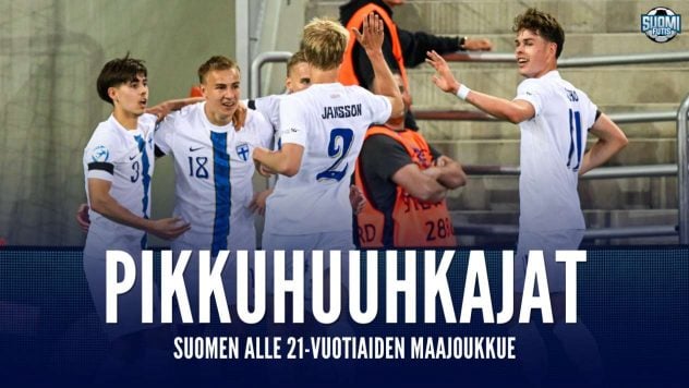 aop_pikkuhuuhkajatpohja2025