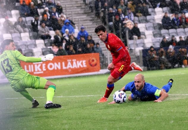 aop_pukkiteemu202521117