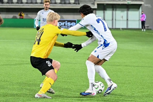 aop_RuoppiKuPS29.13763741