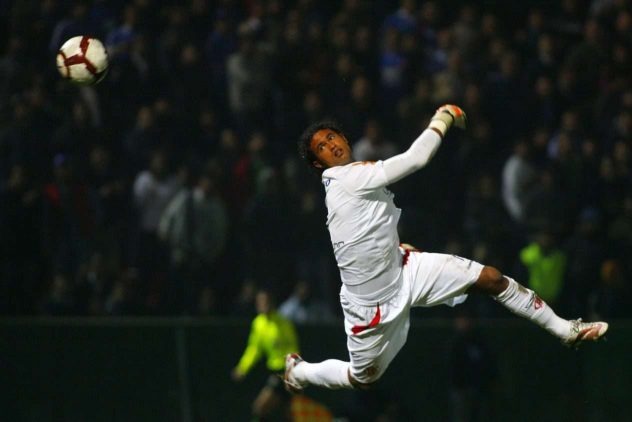 aop_fernandesbruno20100520