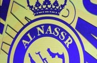 aop_alnassrkuvitus20240201