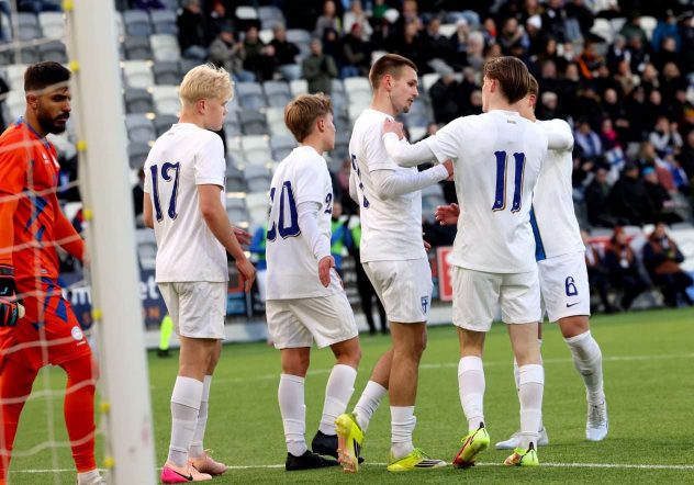 aop_pikkuhuuhkajat20260916